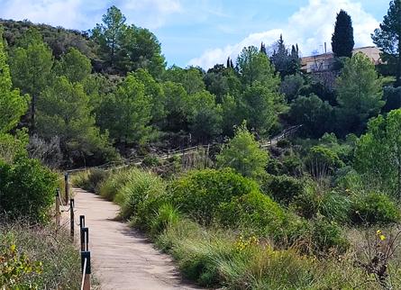 Passejada Olivella